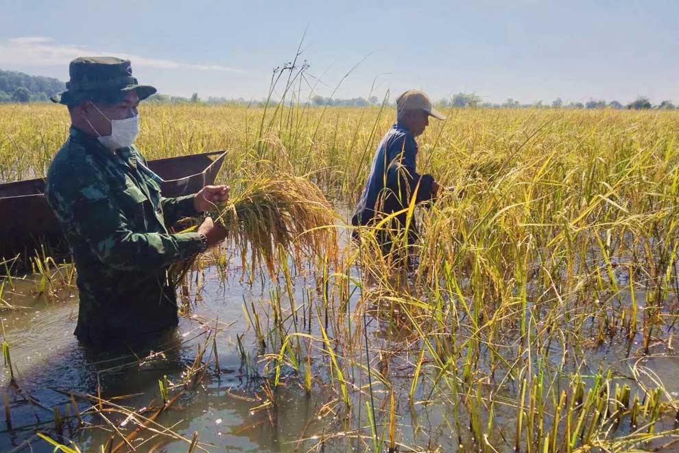 Thailand the thirdlargest rice exporter after posting 6.7 expansion