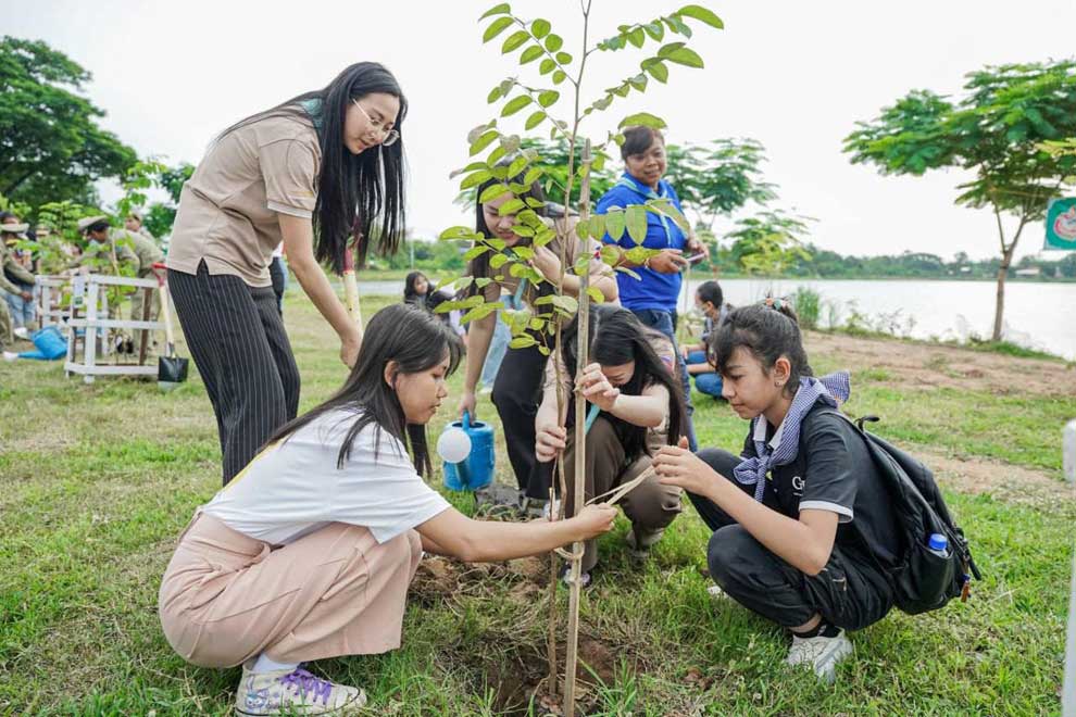 Tree Plantation
